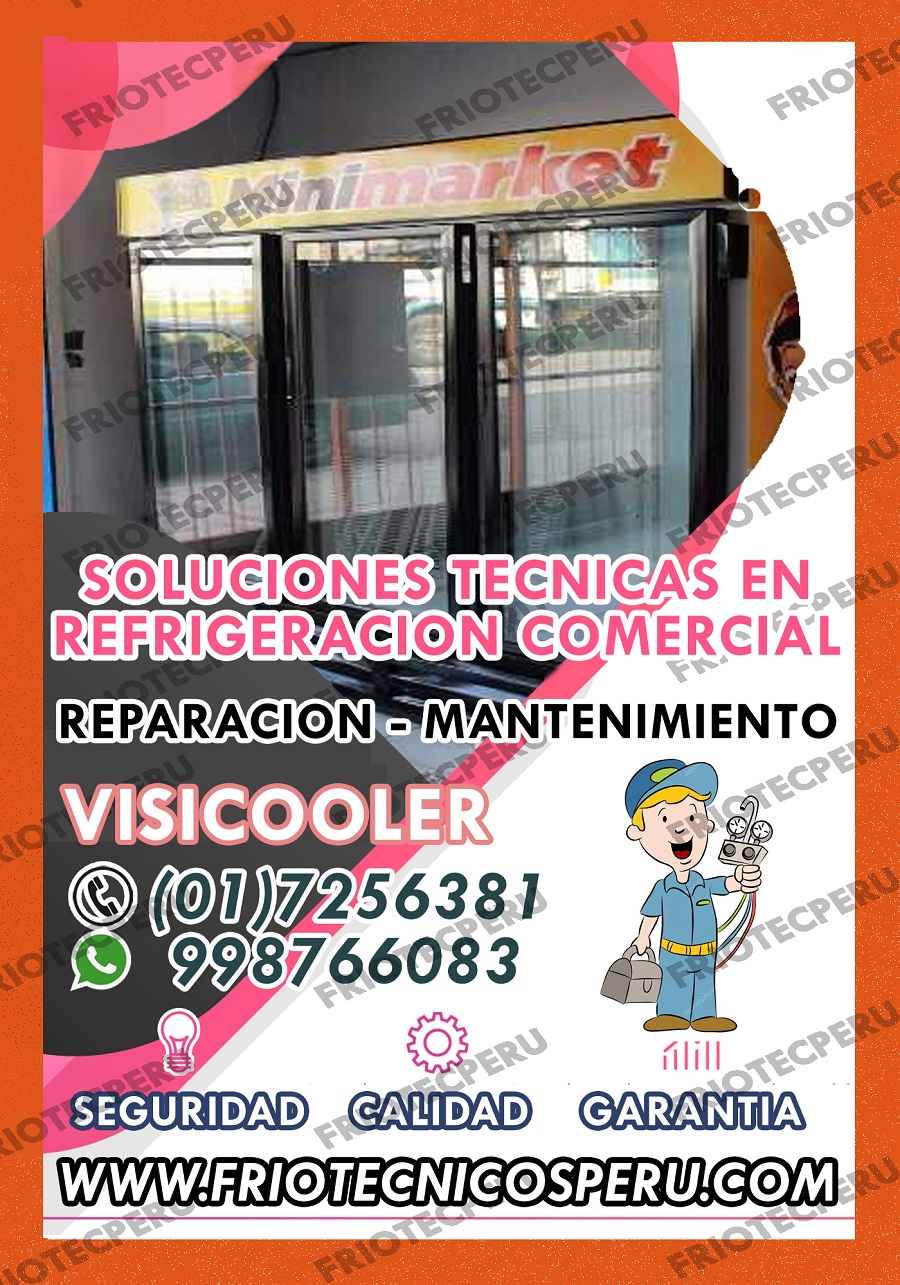 MANTENIMIENTO Y REPARACION 7590161 DE VISICOOLER